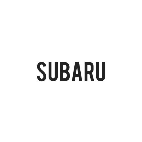 Subaru Tagbøjler